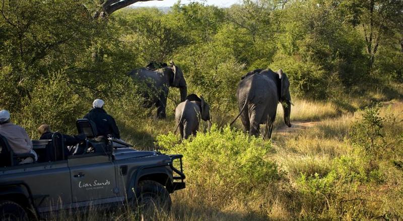 Lion Sands River Lodge Sabi Sand Game Reserve Exterior photo